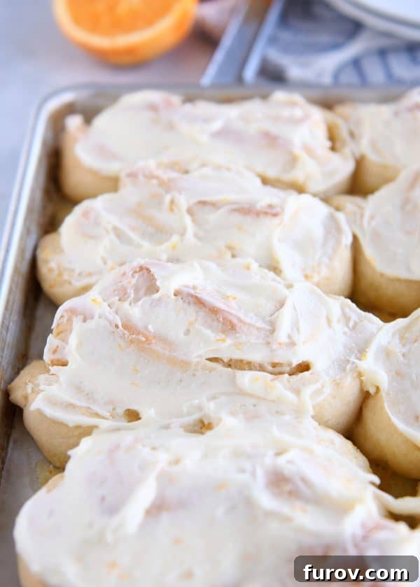 Perfected Homemade Orange Sweet Rolls 3 Freshly baked homemade orange sweet rolls cooling on a sheet pan, ready for glazing.