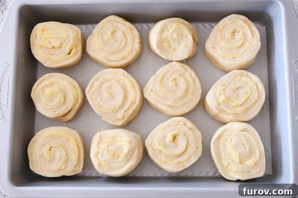 Perfected Homemade Orange Sweet Rolls 9 Unrisen homemade orange sweet rolls, shaped in a traditional spiral, arranged in a baking pan.