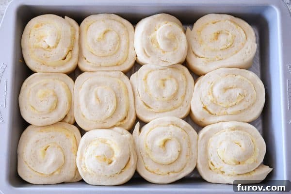 Perfected Homemade Orange Sweet Rolls 10 Top-down view of perfectly risen sweet rolls, shaped in a traditional spiral, in a baking pan, ready for baking.