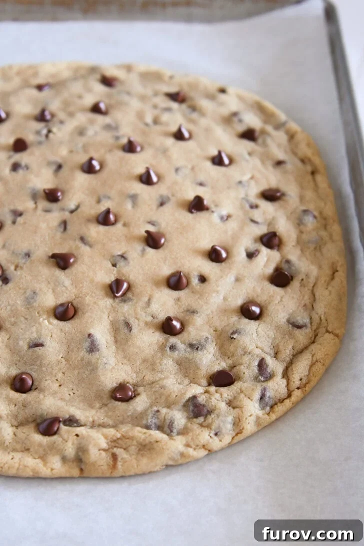 A large chocolate chip cookie on a piece of parchment paper, ready to be served.