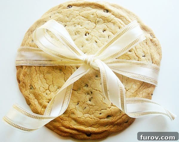 a giant chocolate chip cookie wrapped with a bow, perfect for gifting