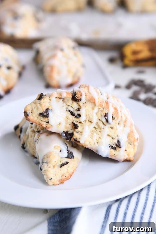 Decadent Chocolate Chip Banana Bread Scones 2 Two baked and glazed scones on white plate.
