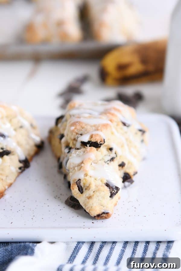 Decadent Chocolate Chip Banana Bread Scones 10 Baked banana bread scone on white tray.