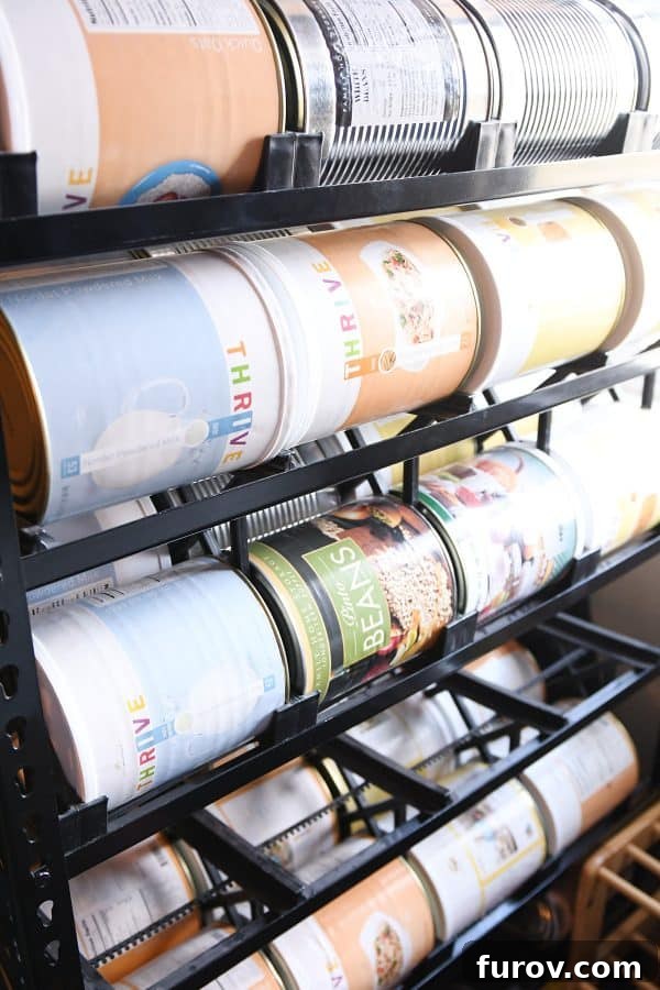 shelf reliance rolling food storage shelf