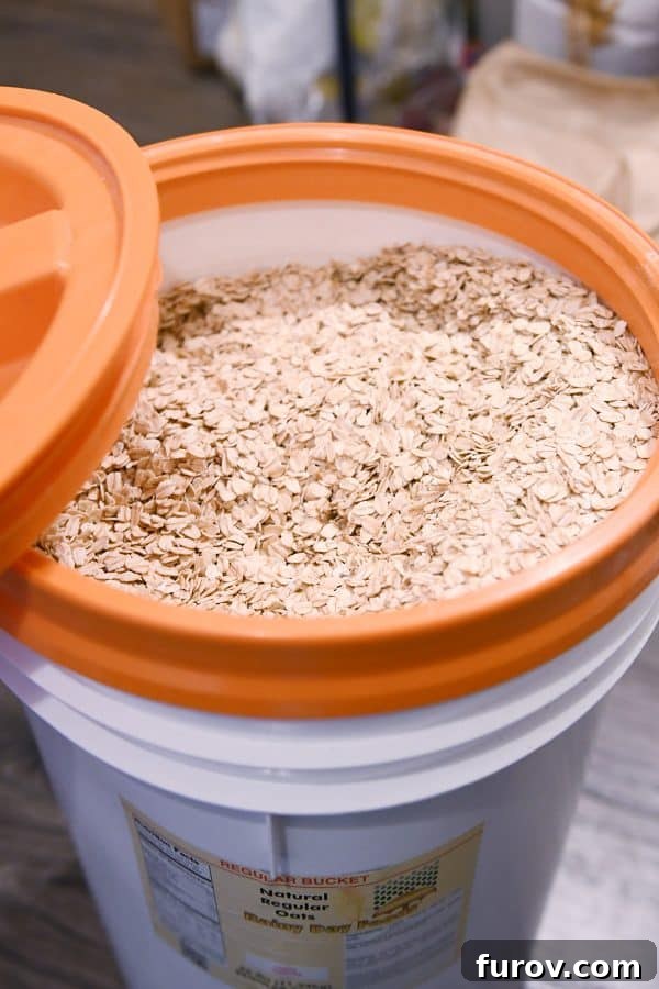 5 gallon bucket of old-fashioned rolled oats