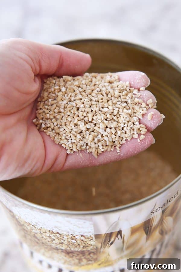steel cut oats in hand out of #10 can