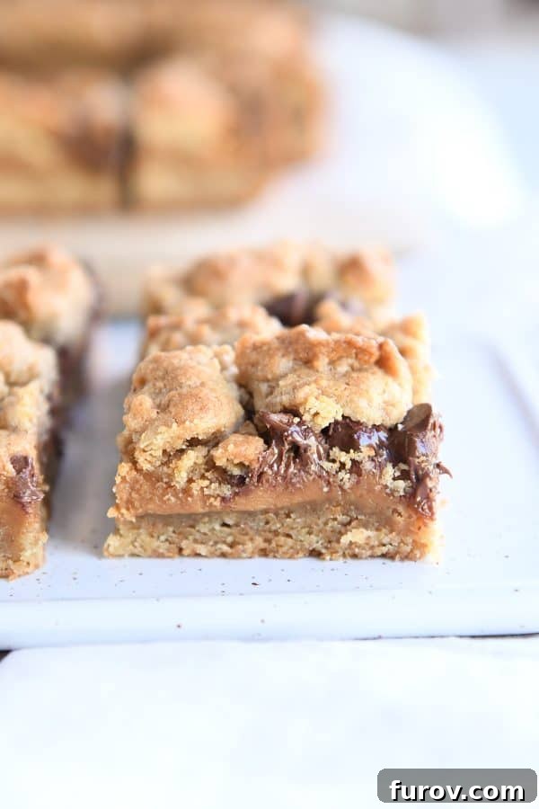 Smores Inspired Caramel Peanut Butter Cookie Bars 8 A soft and chewy caramel peanut butter cookie bar resting on a white platter.
