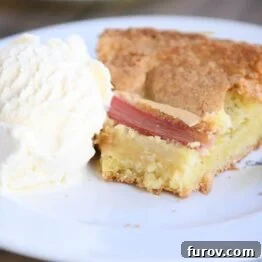Tangy Rhubarb Custard Delight 12 A half-slice of Rhubarb Custard Cake on a white plate, accompanied by a scoop of vanilla ice cream, promising a delightful dessert experience.