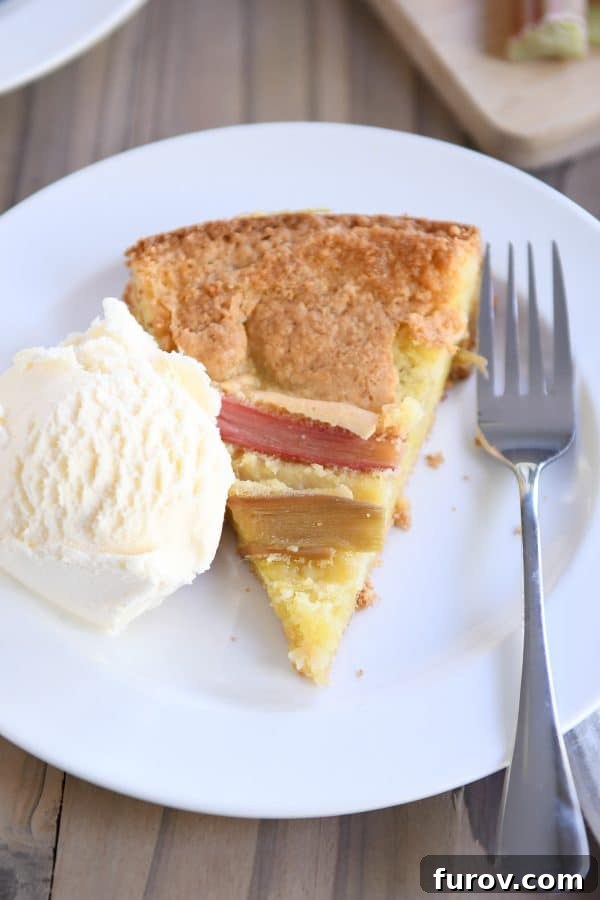 Tangy Rhubarb Custard Delight 3 A bird's-eye view of a triangular slice of Rhubarb Custard Cake on a clean white plate, revealing the soft, golden cake and scattered pieces of baked rhubarb, inviting a taste.