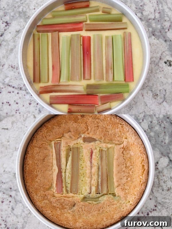 Tangy Rhubarb Custard Delight 9 A split image displaying an unbaked Rhubarb Custard Cake with artfully arranged rhubarb strips and a baked cake showing the rhubarb slightly submerged, demonstrating the common 'sinking' phenomenon.