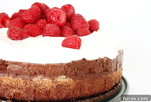 A beautifully decorated chocolate torte topped with fluffy whipped cream and vibrant fresh raspberries.