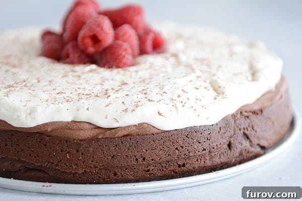 A stunning chocolate torte layered with chocolate mousse, a generous topping of whipped cream, and fresh raspberries.