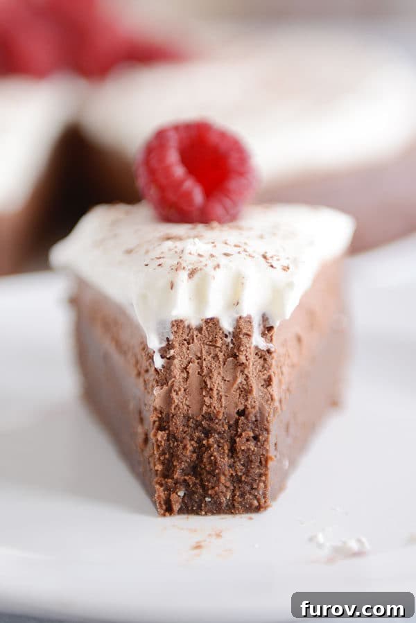 A detailed close-up of a slice of chocolate torte, revealing its distinct mousse layer and whipped cream topping on a white plate.
