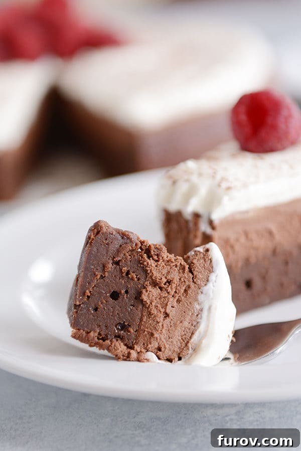 A close-up of a slice of double chocolate mousse torte, showing a bite taken out, on a white plate.