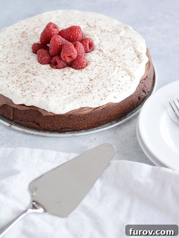A chocolate torte beautifully topped with whipped cream, a sprinkle of cinnamon, and fresh raspberries.