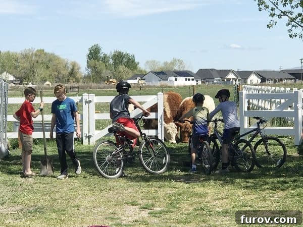 Boys riding bikes with helmets through a picturesque field where cows are grazing, symbolizing freedom and nature
