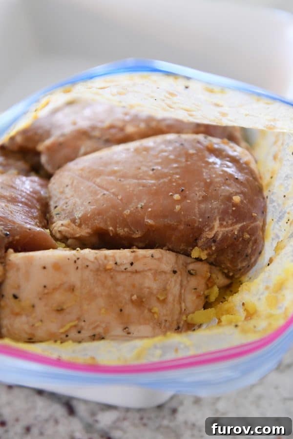 Pork chops marinating in a sealed plastic bag, ready for grilling.