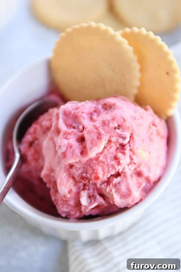 Pink Paradise Sorbet 2 Close up view of pink sorbet in white dish with lemon cookies.