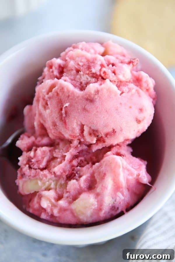 Pink Paradise Sorbet 11 Top down view of frozen pink sorbet in white dish.