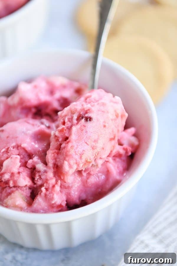 Pink Paradise Sorbet 3 spoon in frozen soft pink sorbet in white dish