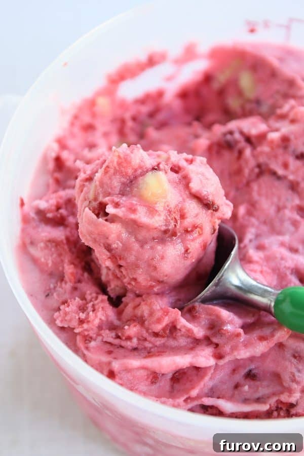 Pink Paradise Sorbet 7 Ice cream scoop scooping out fruity pink sorbet.