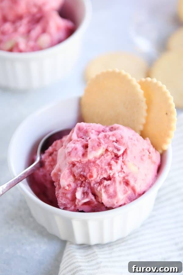 Pink Paradise Sorbet 8 Scoop of fruity pink sorbet in white dish with two lemon cookies.