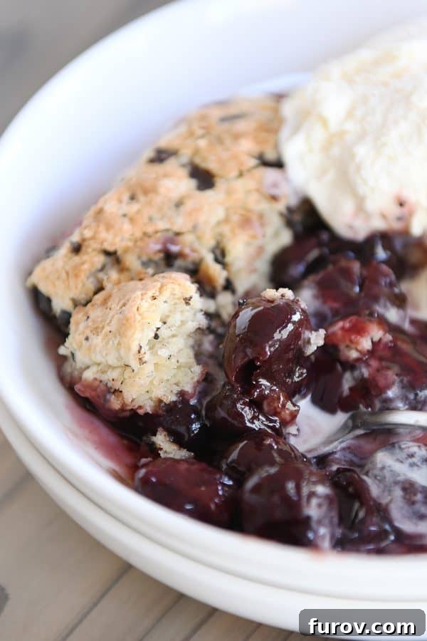 Spoon digging into bowl with cherry cobbler and chocolate chunk biscuit.