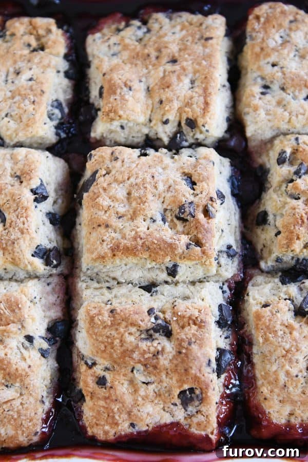 Top down view of baked cherry chocolate cobbler.