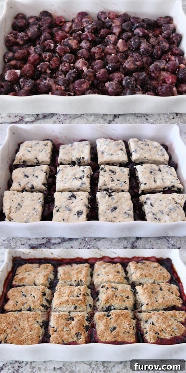 Topping cherry chocolate cobbler with biscuit topping.
