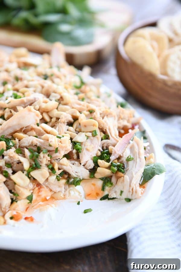 Out-of-this-World Sesame Thai Chicken Dip 2 A vibrant, layered Sesame Thai Chicken Dip presented on a white platter, with a section already scooped out to reveal the rich textures within. Ideal for parties and gatherings.