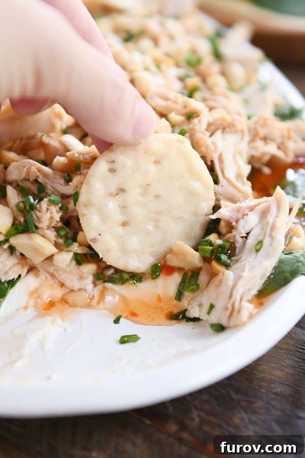 Out-of-this-World Sesame Thai Chicken Dip 3 A hand dipping a crispy rice cracker into the creamy, multi-layered Sesame Thai Chicken Dip, showcasing its delightful texture and rich topping.