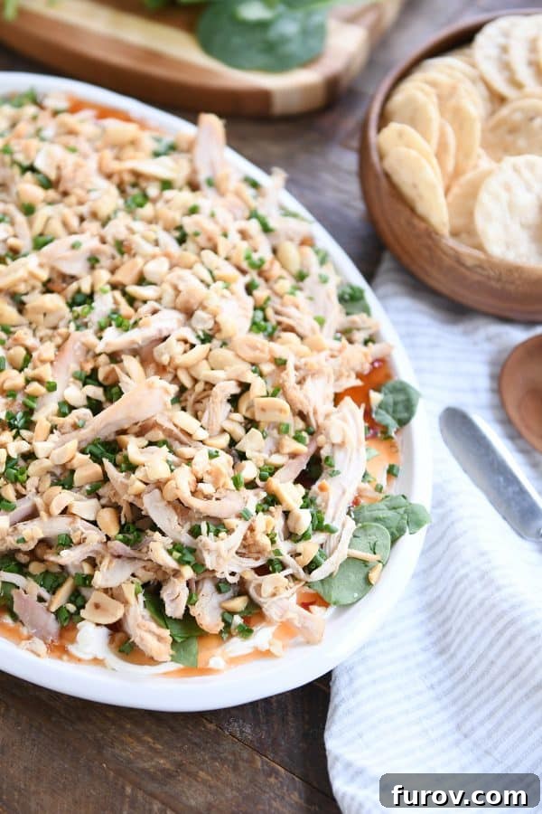 Out-of-this-World Sesame Thai Chicken Dip 7 A wide shot of the glorious Sesame Thai Chicken Dip on a white platter, with a bowl of crunchy rice crackers ready for dipping, inviting guests to dig in.