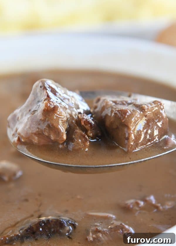 Fall-Apart Tender Slow Cooker Beef in Rich Gravy 9 A spoon scooping a generous portion of smothered beef tips and gravy, highlighting its luscious texture.