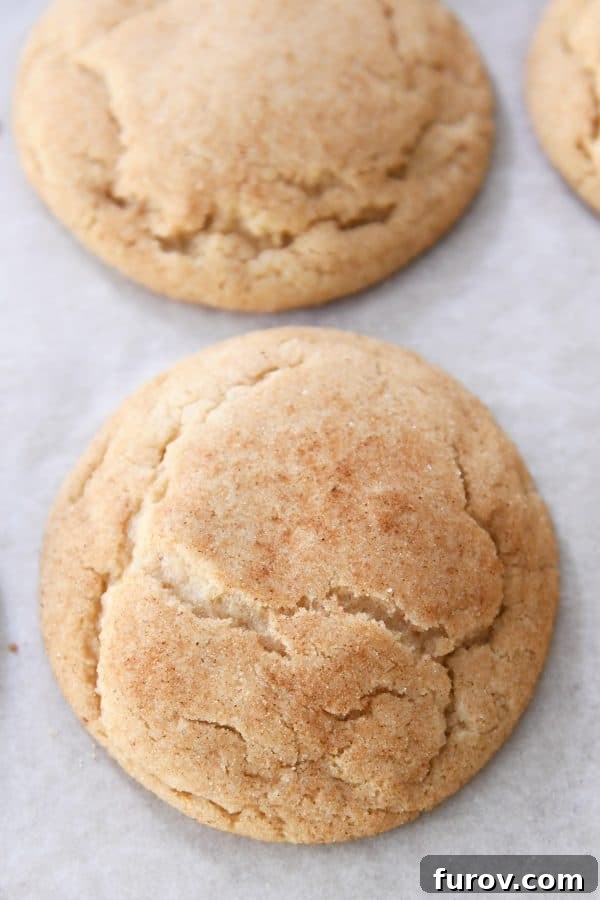 Tray of baked brown butter snickerdoodles.