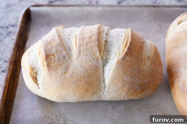 Sourdough for the Unmotivated 11 Loaf of sourdough bread on sheet pan.