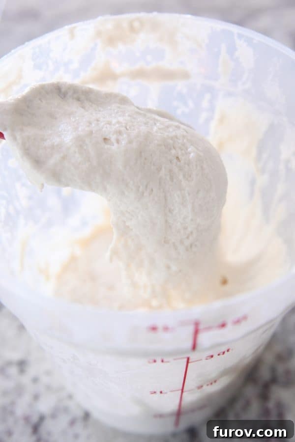 Sourdough for the Unmotivated 3 Sourdough starter on rubber spatula