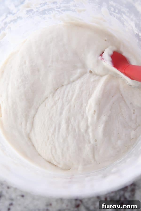 Sourdough for the Unmotivated 4 Stirring sourdough starter with red spatula.