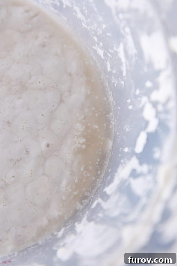 Sourdough for the Unmotivated 5 Brown liquid pooling on top of sourdough starter in plastic bucket.