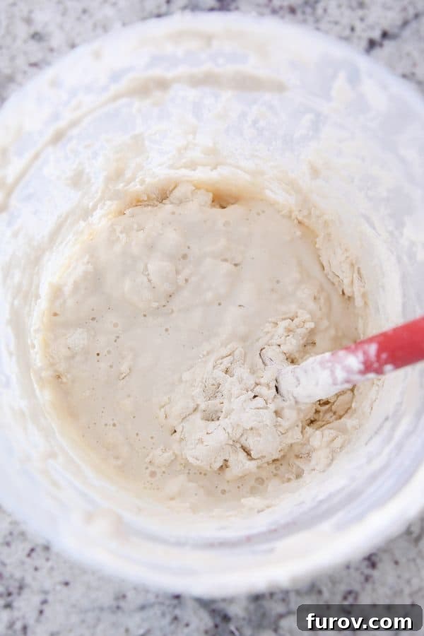 Sourdough for the Unmotivated 7 Stirring flour and water into sourdough starter.