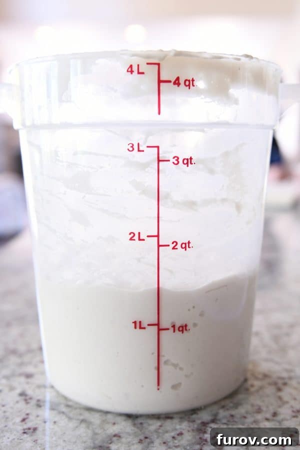 Sourdough for the Unmotivated 9 Sourdough starter in 4 quart plastic bucket.