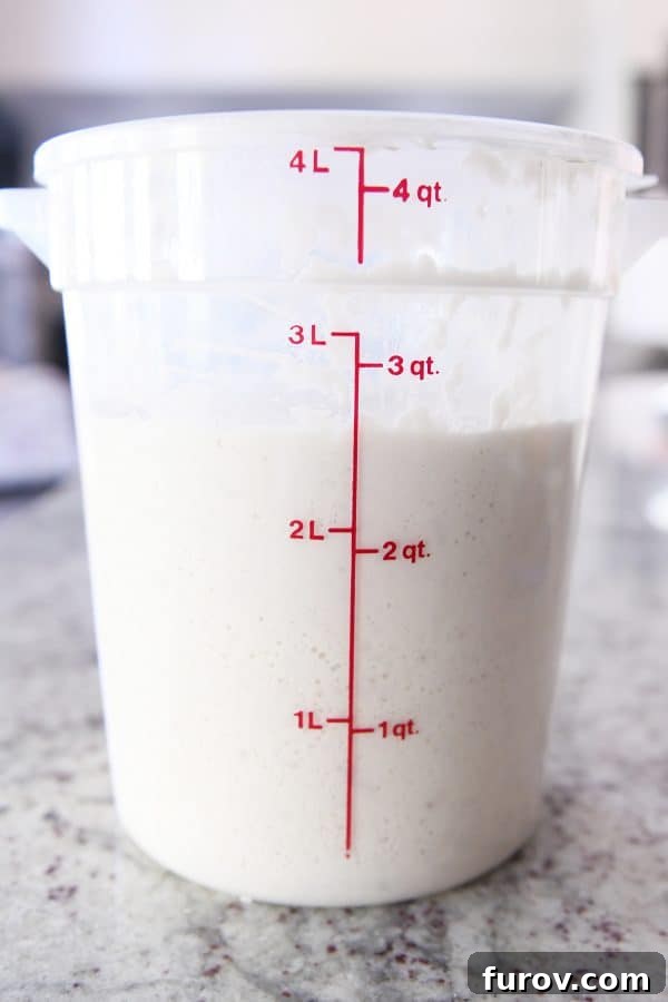 Sourdough for the Unmotivated 10 Sourdough starter in 4 quart bucket.