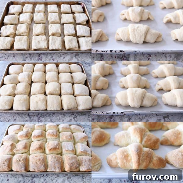 Side-by-side comparison of unbaked square rolls and crescent rolls rising on baking pans, contrasting with the final golden brown baked rolls.