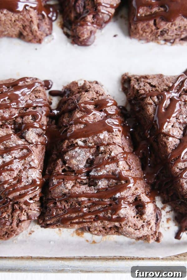 Three triple chocolate scones with chocolate glaze drizzled on top, on a white plate.