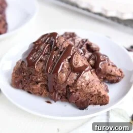 Two triple chocolate scones on a white plate, ready to be served.