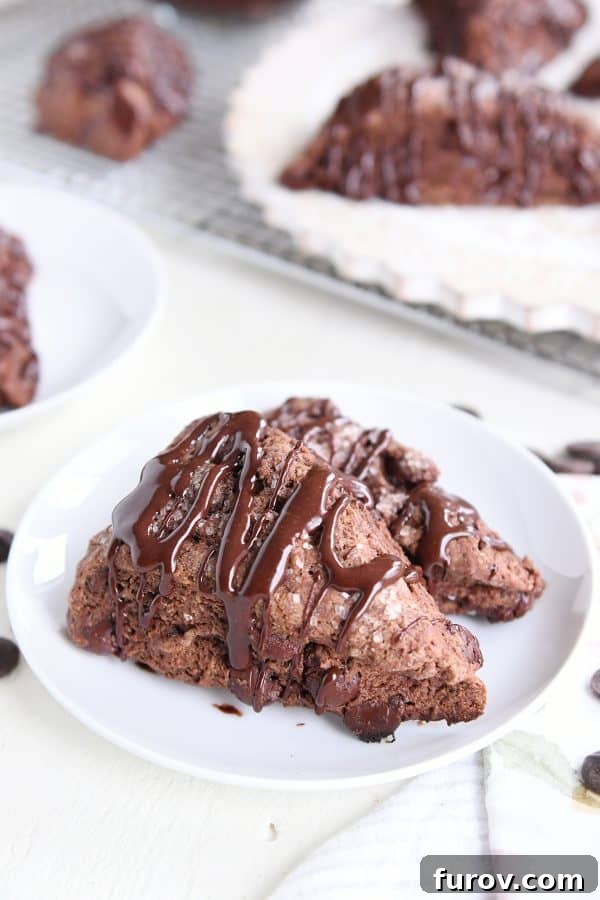 Two triple chocolate scones on a white plate, highlighting their rich color and texture.