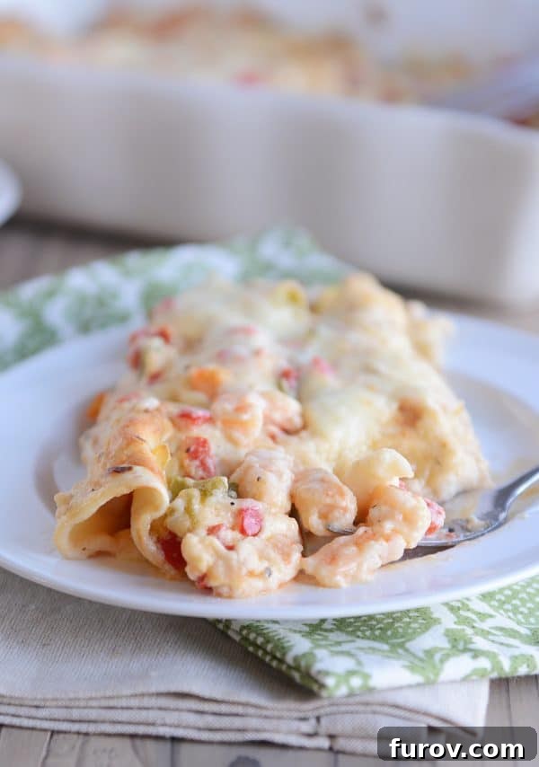 Velvet Shrimp Enchiladas Blanco 2 A perfectly portioned shrimp enchilada on a pristine white plate, showcasing its golden-brown top and creamy filling.