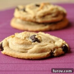 Peanut Butter Chocolate Chip Cookies