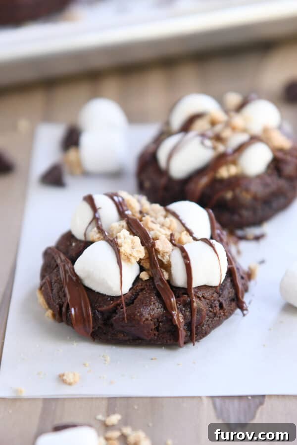 Two chocolate s'mores cookies on white parchment paper.