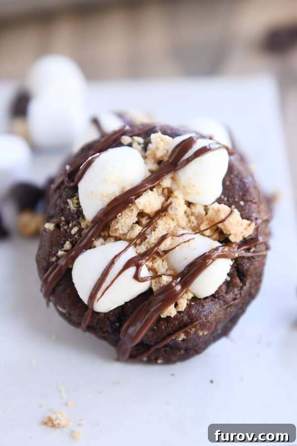Chocolate cookie with mini marshmallows, graham cracker crumbs and chocolate drizzle.