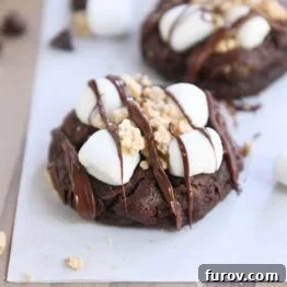 two chocolate s'mores cookies on white parchment paper